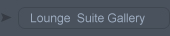 Lounge  Suite Gallery